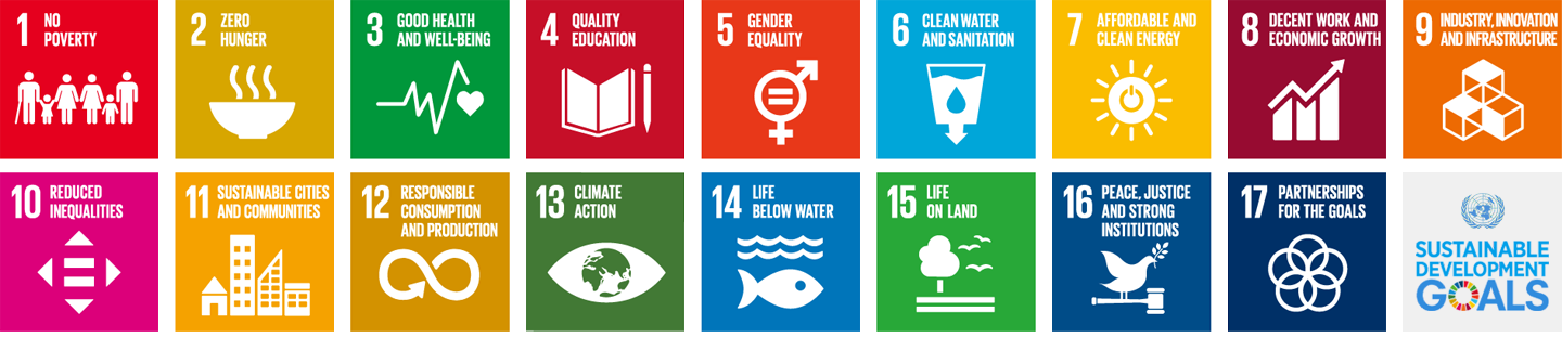 LENS supports UN Sustainable Development Goals